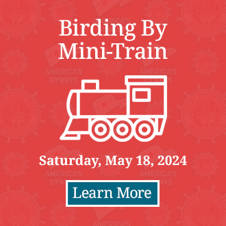 Birding By Mini Train